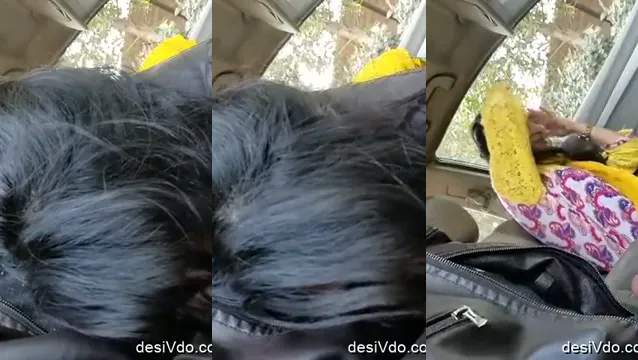Desi GF Blowjob - Cute College Girl Sucks BF Like a Pro