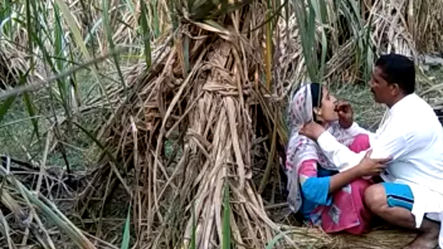 Watch Viral Village Jungle Sex - জঙ্গলে দেশী লোকাল হট সেক্স 🔥 full viral video leaked