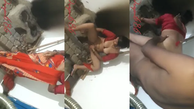 Big Ass Bhabhi Blowjob Fucking - হর্নি ভাবীর বড় পাছা চোদাচুদি ভিডিও