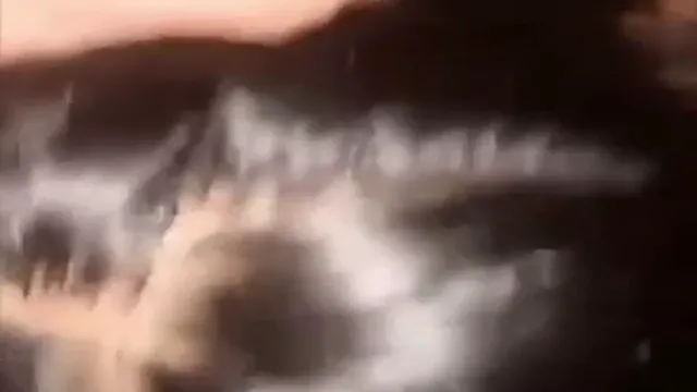 Girlfriend Sucks Lover Dick Hard And Gets Fucked Wild