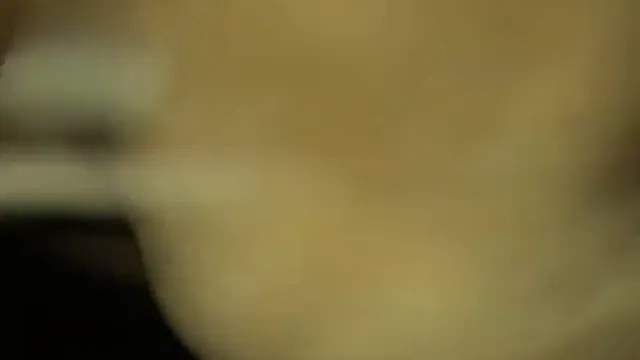 Punjabi Kudi Sucks Cock Then Rides - Wild Indian POV Blowjob Fucking