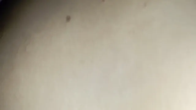 Watch Desi Bhabhi Porn Video Leak - ভাবির হট XXX ক্লিপ BF সাথে 🔥 full viral video leaked