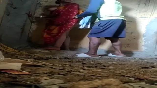 Village Bhabhi Standing Sex MMS - Leaked Village Affair With Lover