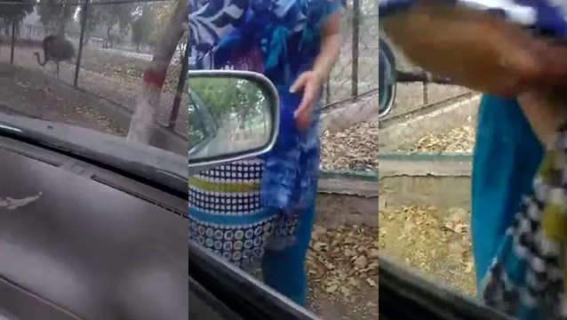 Pakistani Call Girl Farah Exposing Tits to Client - Exclusive Desi Escort Reveal