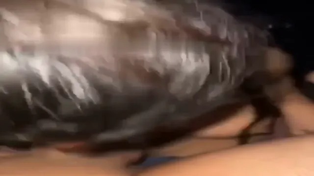 Desi Couple Wild Room Sex - Missionary To Doggy Style Hardcore Fucking