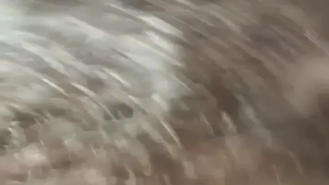 Punjabi Couple Wild Bedroom Sex - Loud Moaning Wife Riding Hard