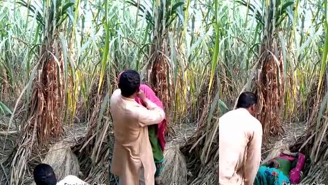 Watch Jungle XXX Video - জঙ্গলে মুসলিম আঙ্কেলের সাথে যুবতীর চোদন full viral video leaked
