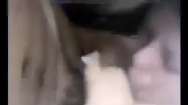 Desi GF BF Sex Video Clear Voice - দেশি প্রেমিক প্রেমিকার চুদাচুদি! | desiviral.net