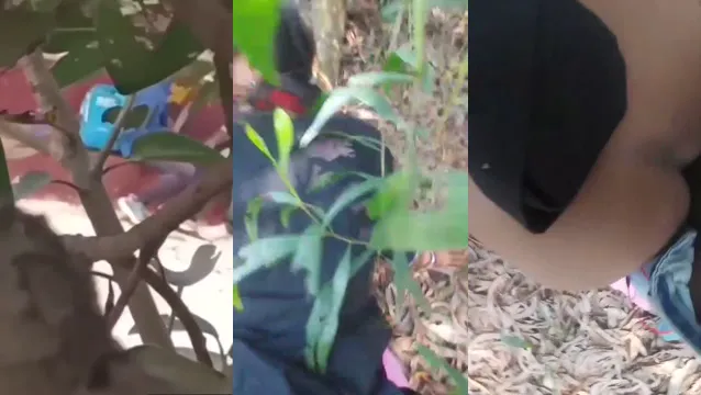 Desi Village Big Boobs Girl Outdoor Fucking - Viral Public Sex Video