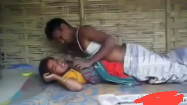 বাংলাদেশী চুদাচুদি ভিডিও বাংলা কথায়