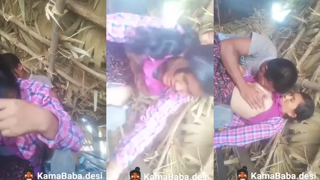 Watch Nepali Village GF Sex - গ্রামে BF GF এর হট চুদাচুদি 🔥 full viral video leaked