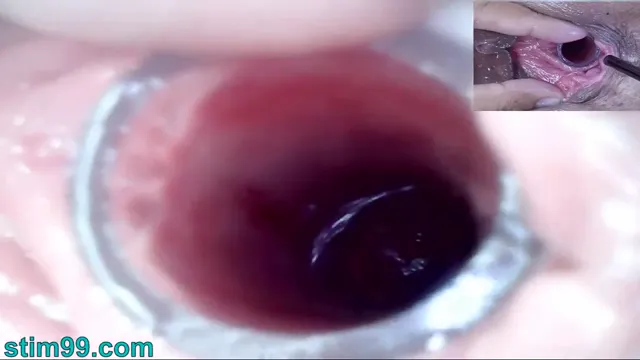 Extreme Lesbian Peehole Fucking with Japanese Dildo - Cervix Play & Endoscope