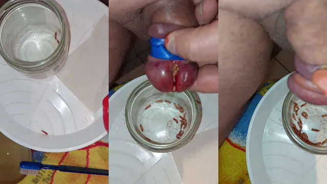 Extreme BDSM CBT Insertion Fetish - Bizarre Perverse Pain Torture