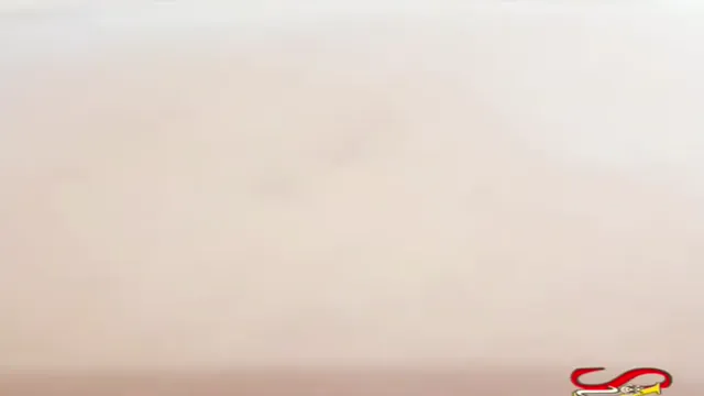 Hindi Audio Desi Girl Full Chudai - XXX Indian Bhabhi Moaning Loudly