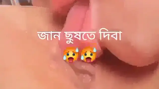 Pussy Licking Viral - ভোদা চোষা দেখে উত্তেজিত হবেন | desiviral.net
