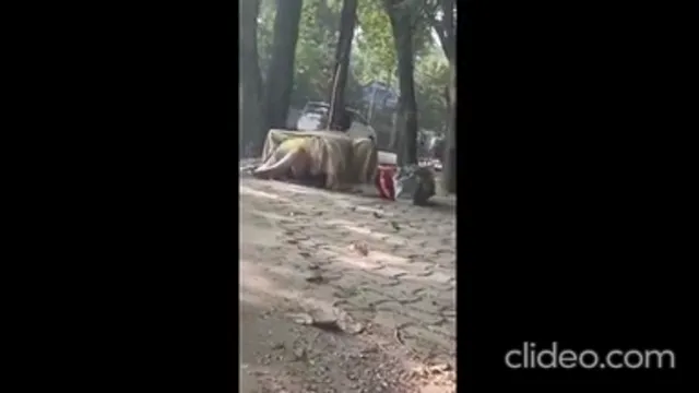 Desi Outdoor Sex Compilation - Wild Indian Couples Fucking In Public