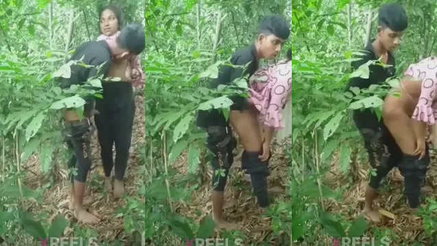 জঙ্গলে Desi GF এর Jabardast Chudai 🔥 Wild Jungle Sex!