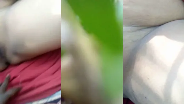 Desi Bhabhi scopa all'aperto - Guarda il video della scopata all'aperto di Desi Bhabhi