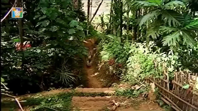 Village Girl Kannada Movie Sex Watch - গ্রামের মেয়ে XXX সিন দেখে গরম 🔥