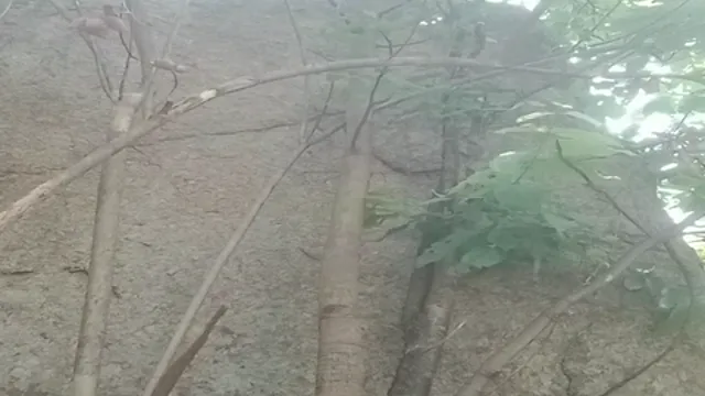 Watch লাকি বয় গাঁয়ের কিউট গার্ল চোদছে - Desi Village Sex 🔥 full viral video leaked