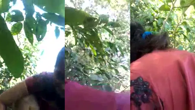 Indian Aunty Bush Blowjob - Nephew Secret Outdoor Suck