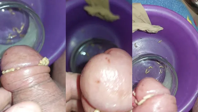 Extreme CBT BDSM Insertion Torture - Bizarre Maggots Feeding Fetish