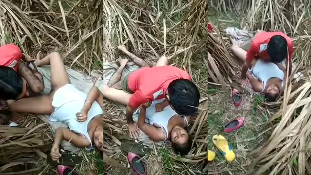 Desi Village Girl Jungle Sex - গ্রামের মেয়ের জঙ্গলে হট চোদন 🔥