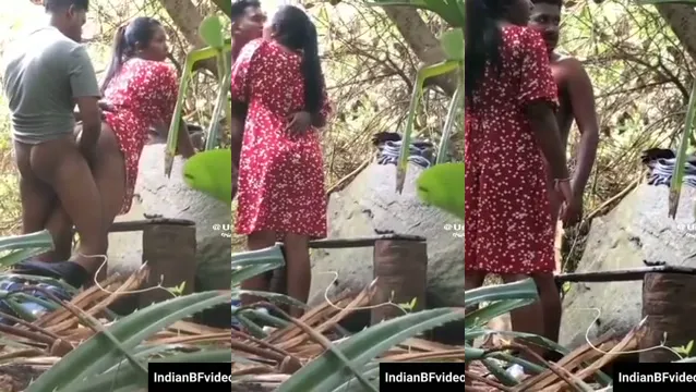 Desi Girl Jungle Park Sex - জঙ্গলে BF এর সাথে হট চোদাচুদি 🔥